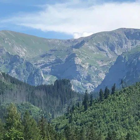 Goralski Cudna Izba *