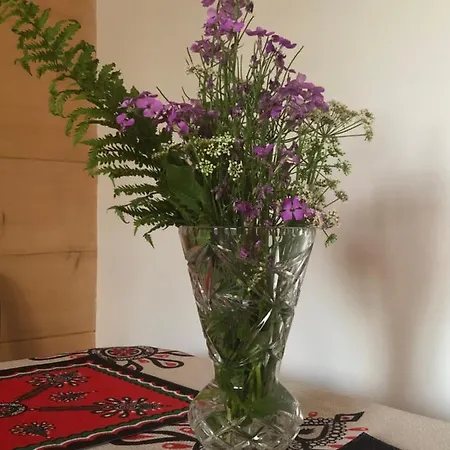 Goralski Cudna Izba Witów