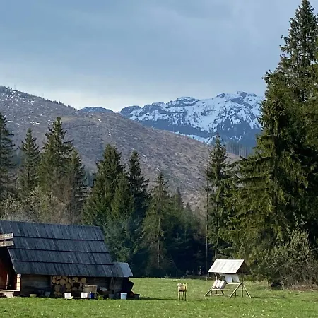 度假居 Goralski Cudna Izba *