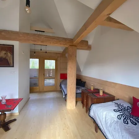 度假居 Goralski Cudna Izba