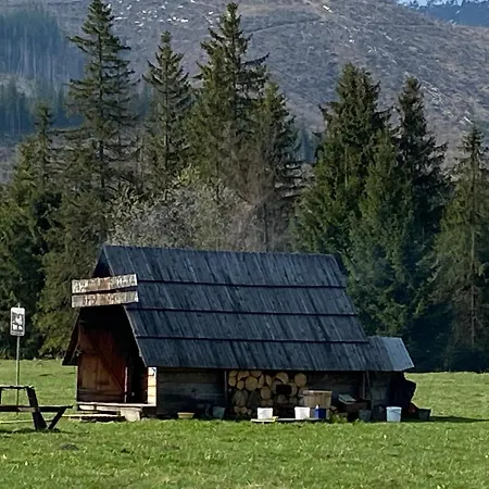 Goralski Cudna Izba *