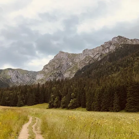 度假居 Goralski Cudna Izba Witów