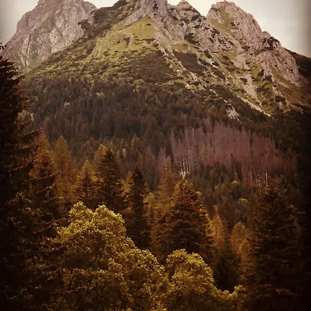 Goralski Cudna Izba 度假居 *