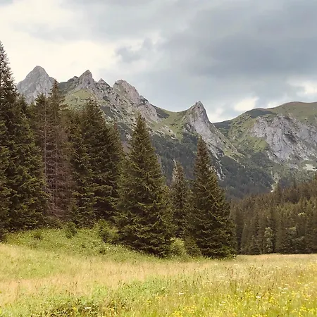 度假居 Goralski Cudna Izba Witów