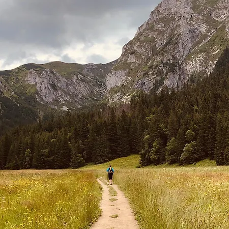 Goralski Cudna Izba 度假居 Witów