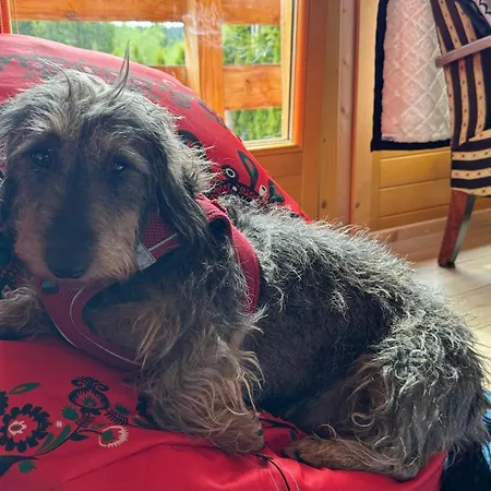 度假居 Goralski Cudna Izba Witów