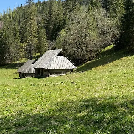 Goralski Cudna Izba Witów