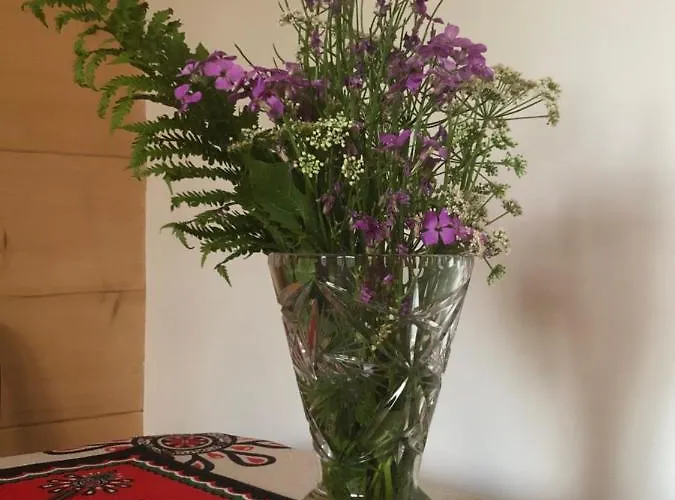 Goralski Cudna Izba Witów