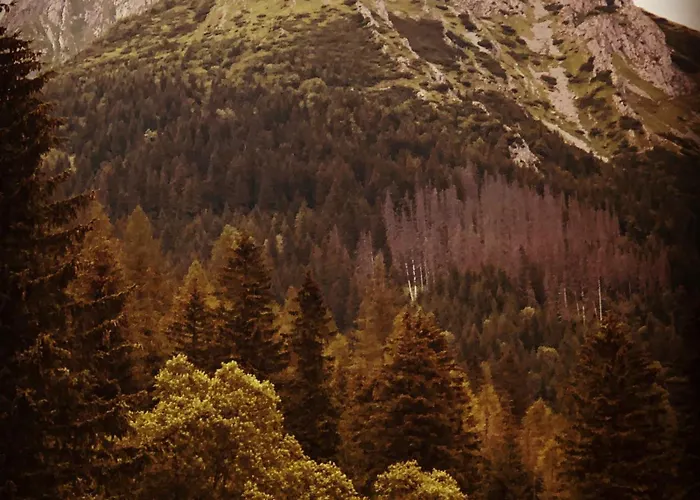 Goralski Cudna Izba 別荘 *