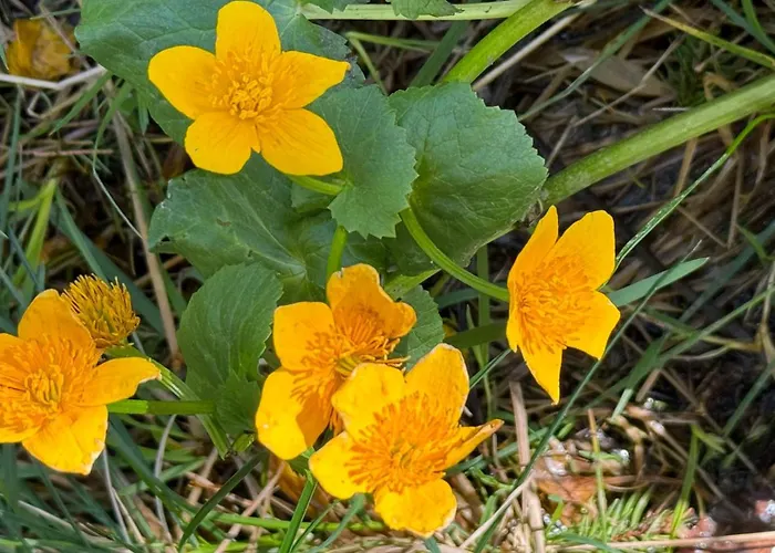 Vakantiehuis Goralski Cudna Izba Witów