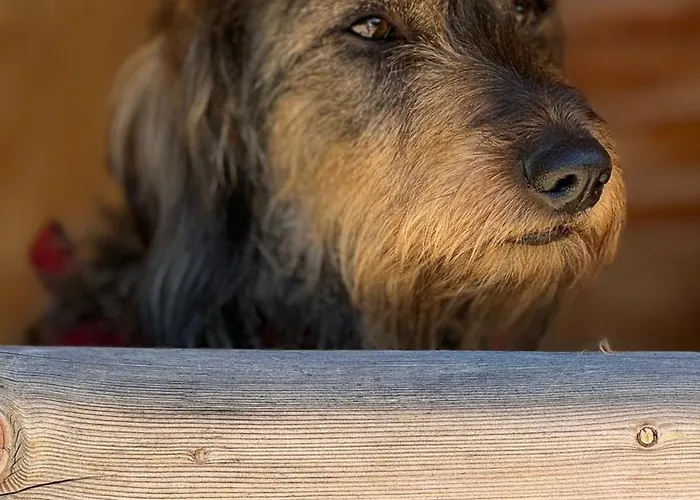 Vakantiehuis Goralski Cudna Izba