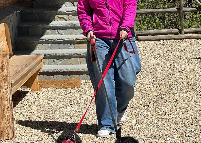 Goralski Cudna Izba Witów