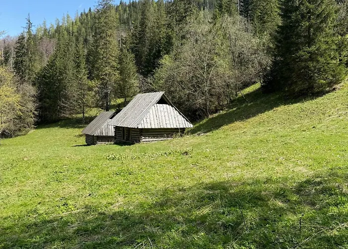 Goralski Cudna Izba Witów